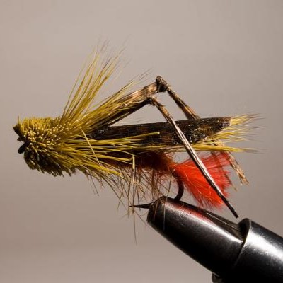 Learn to Tie: NEFT’s 2026 Adult Fly-Tying Classes